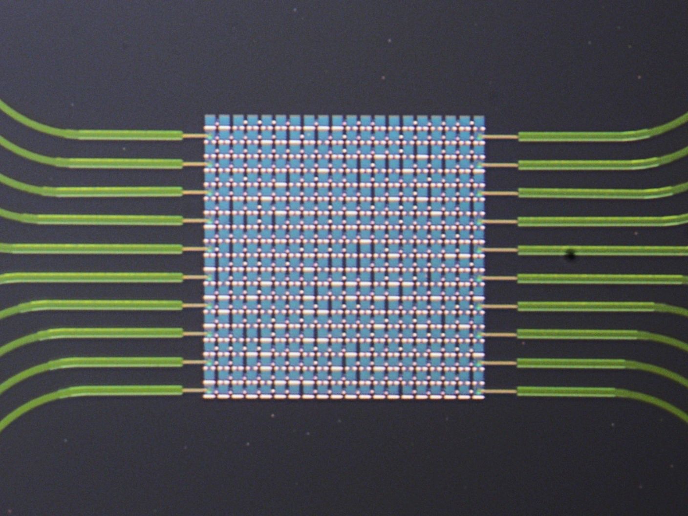 Micrograph of a Cortisonic nanomechanical oscillator array with on-chip acoustic waveguides